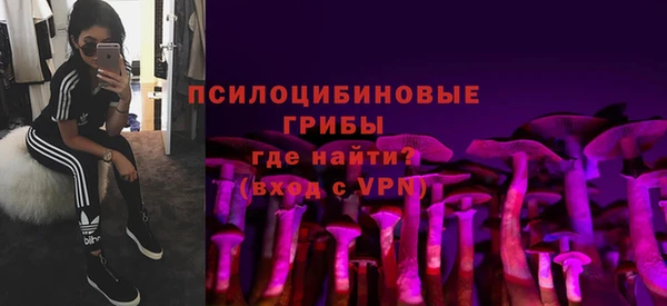 гидра Арсеньев