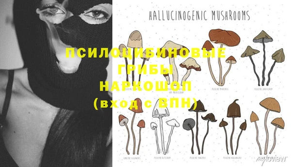 гидра Арсеньев