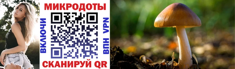Галлюциногенные грибы Cubensis  где можно купить   Верея 